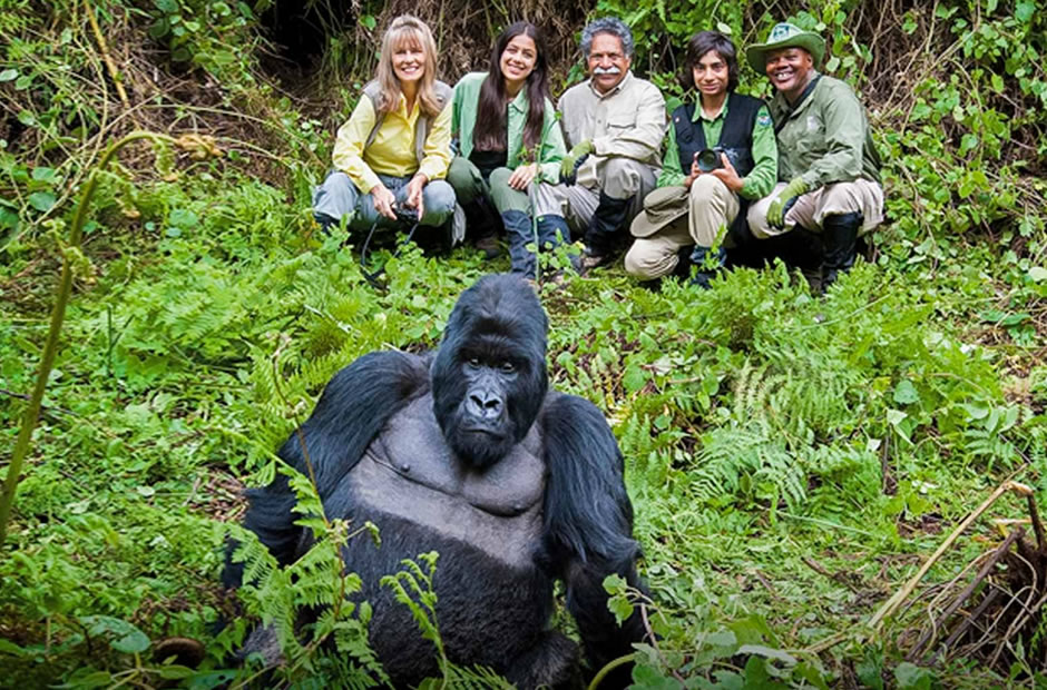Why Tourists Still Prefer Expensive Rwanda Gorilla Tours