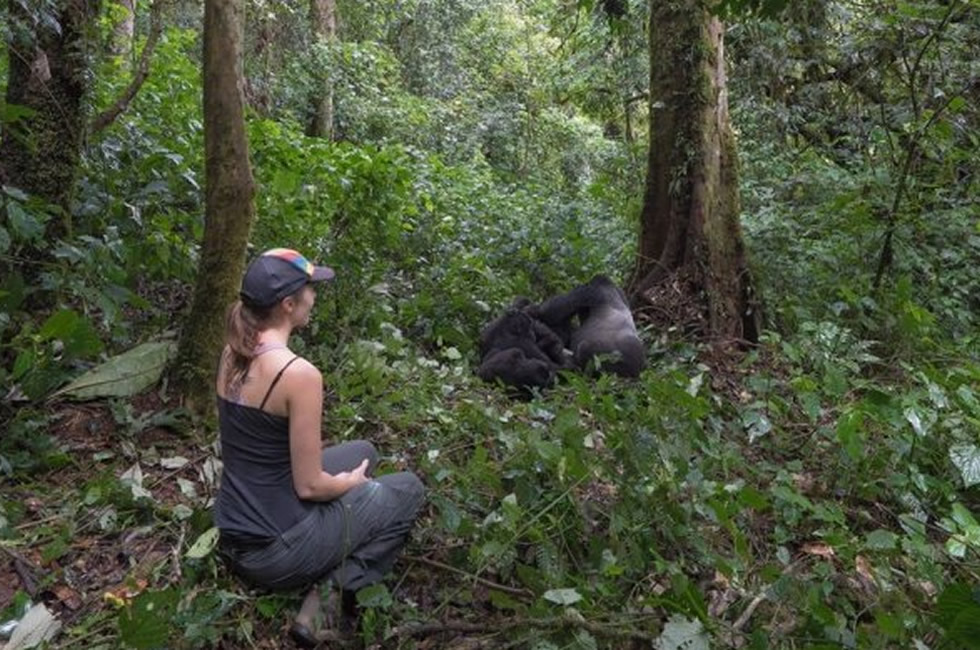 Plan a Gorilla Safari in Rwanda